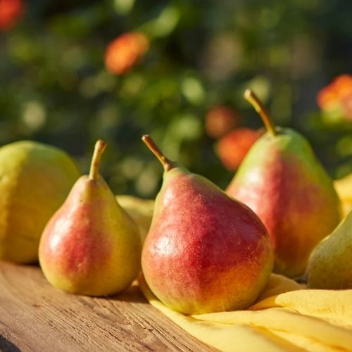 Jesienne pierogi na słodko. Lepsze nawet, niż z jagodami