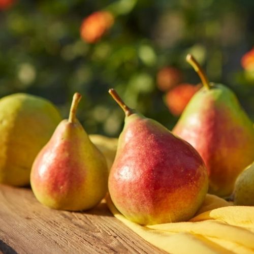 Jesienią to najlepsze ciasto do kawy, wygrywa nawet z szarlotką