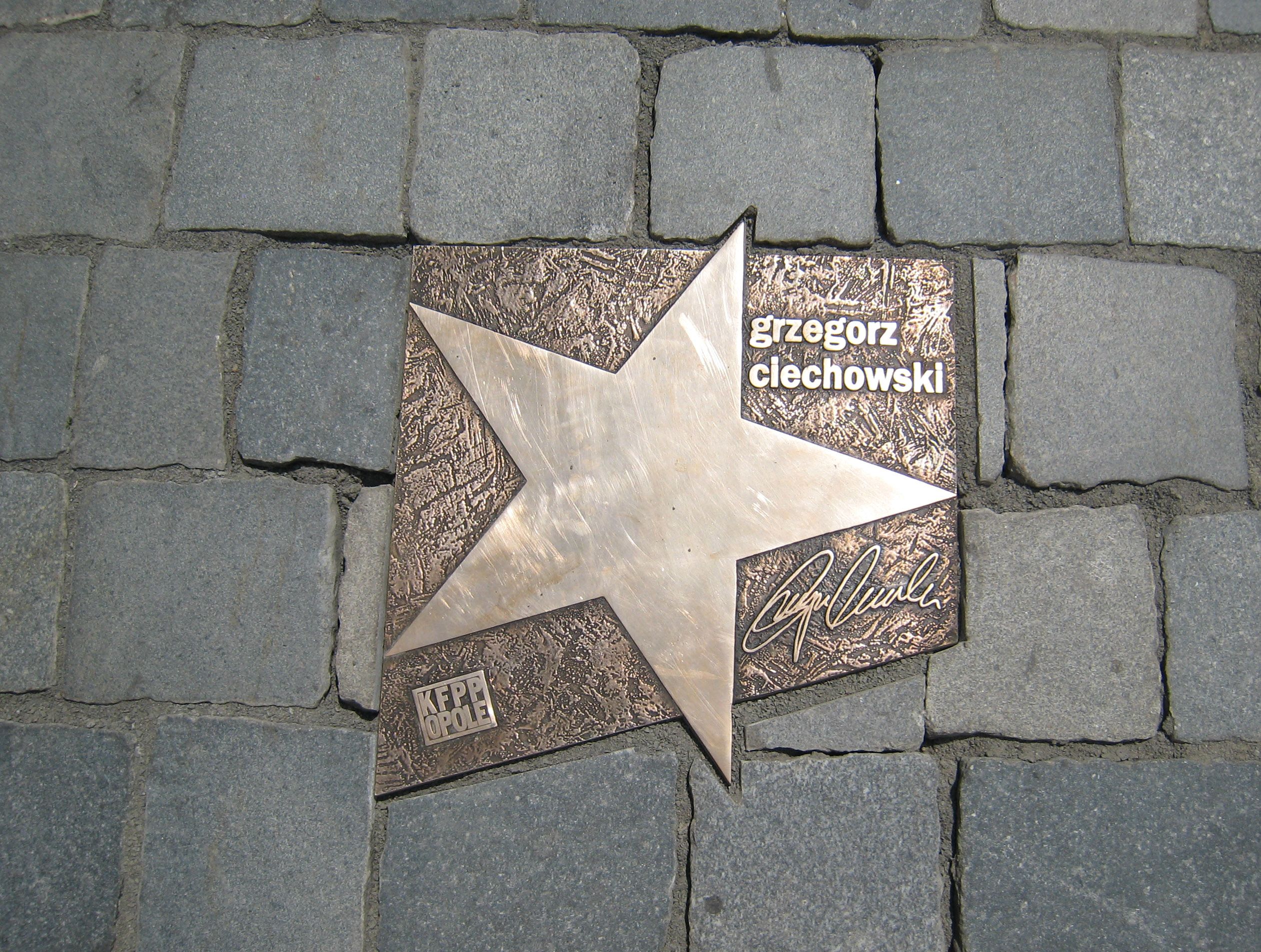 grzegorz ciechowski (1).jpg