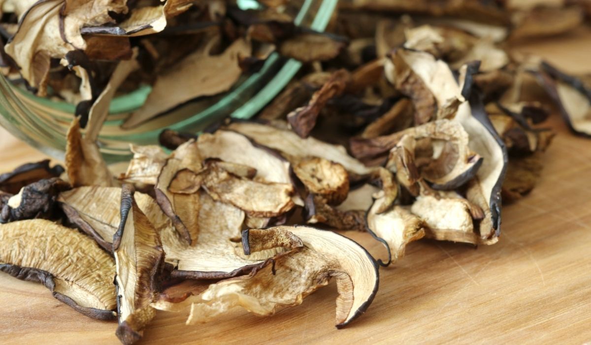 Te grzyby po ususzeniu są jak trutka. Ogromne stężenie toksyn, nie każdy ma świadomość