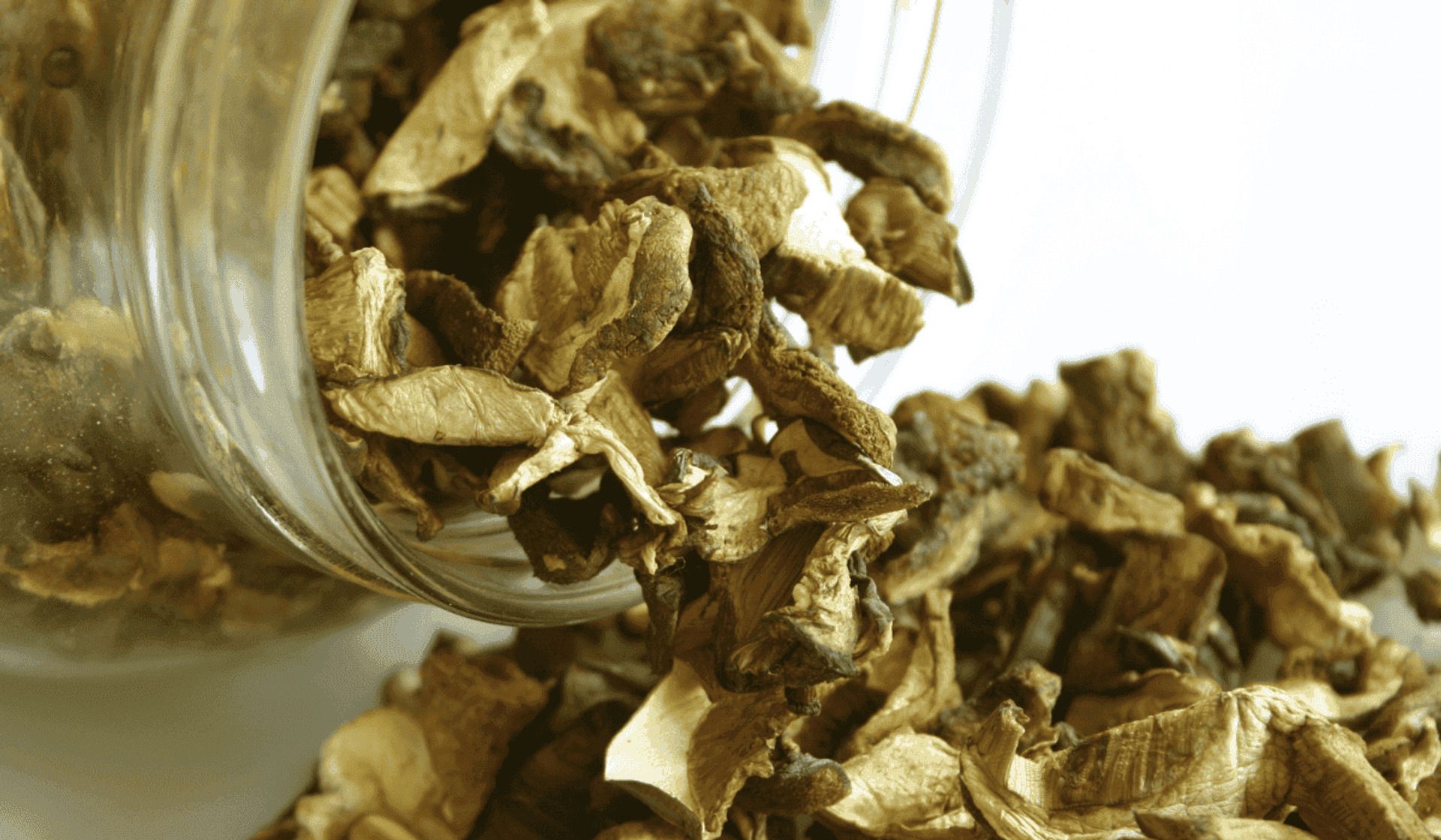 Tyle kosztują suszone grzyby przed świętami. Ceny sięgają nawet kilkuset złotych za kilogram