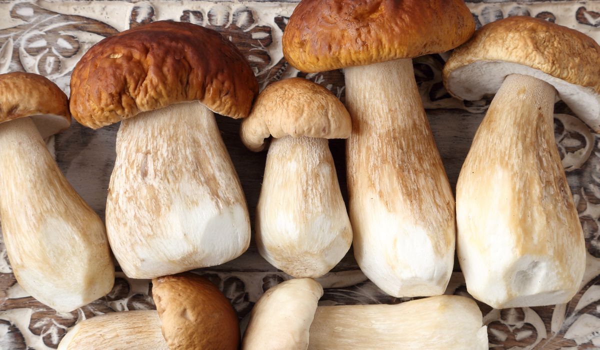 Przenigdy nie łącz tego z grzybami. Wzdyma na potęgę i fermentuje się w jelitach