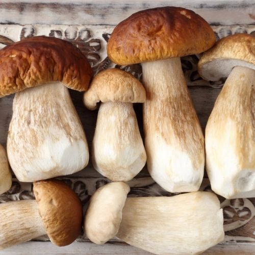 Zrobiłem na obiad gołąbki po lubelsku. Jesienny farsz zachwycił wszystkich