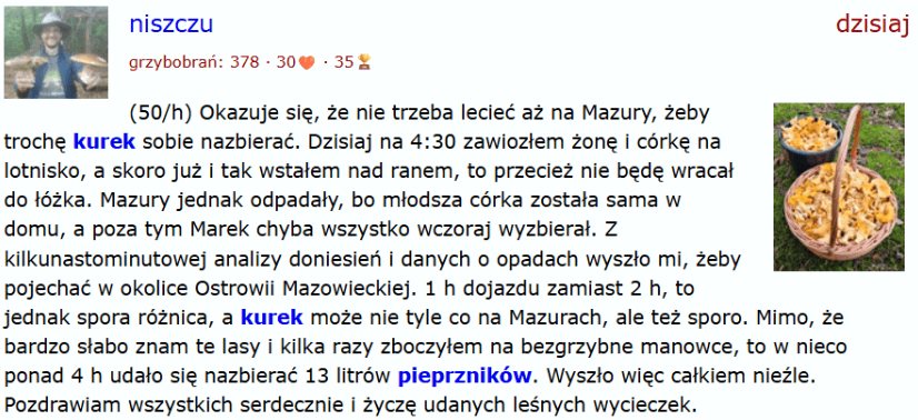 grzyby.jpg