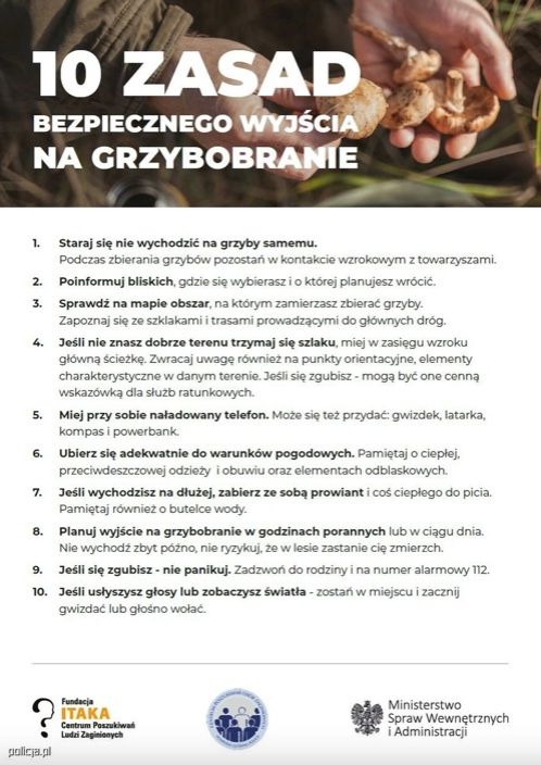 grzyby-poradnik.jpg