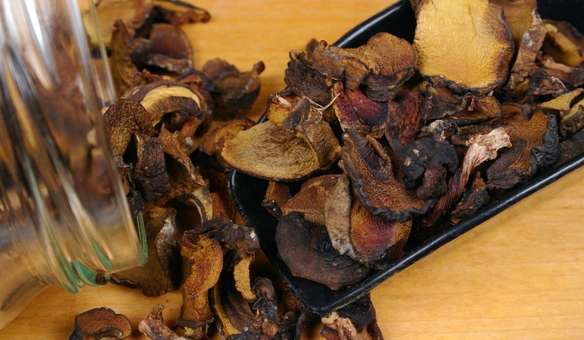 Przenigdy ich nie susz. Tracą smak i kumulują toksyny