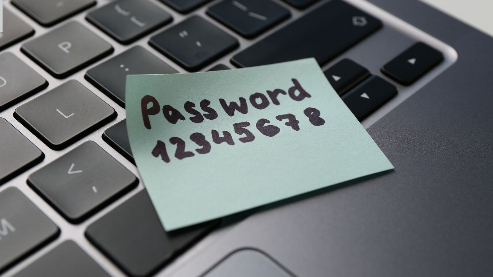 Magdalena  Fordymacka