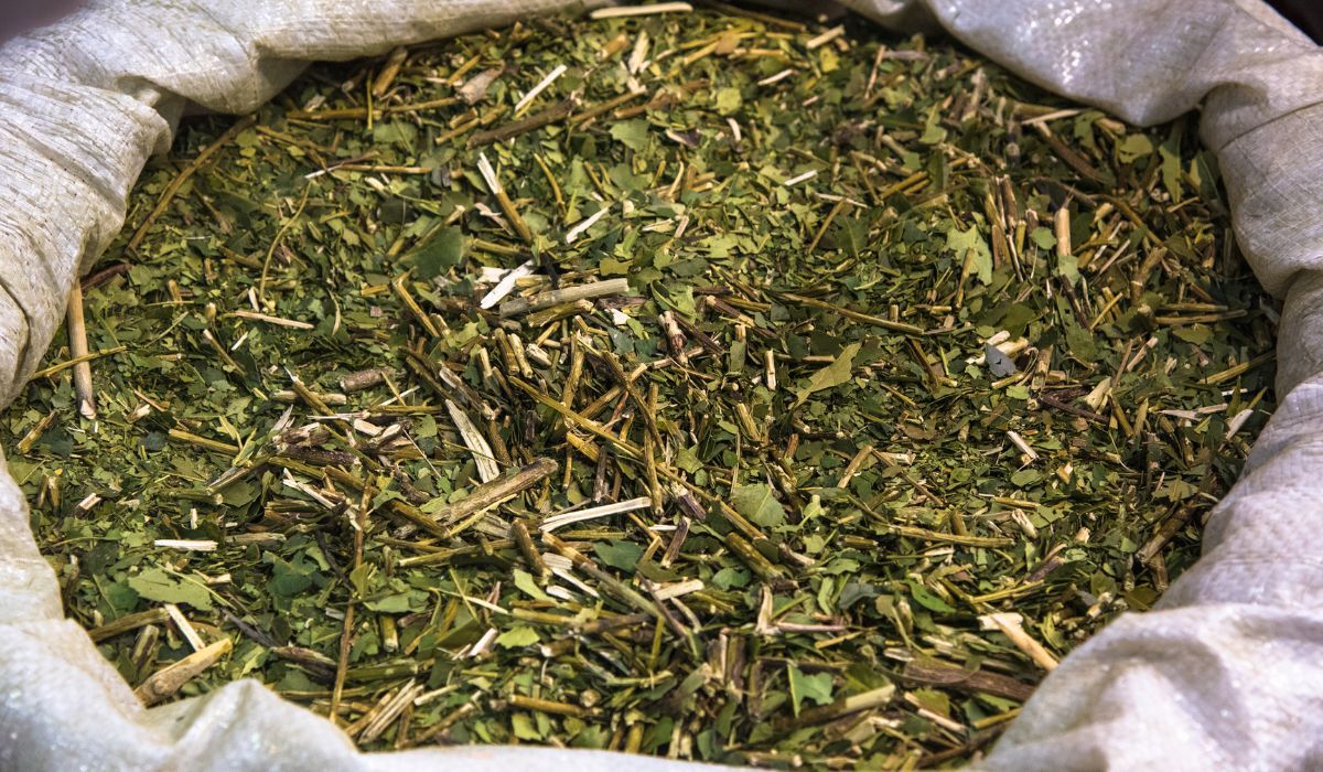 Mówiono nam, iż jest zdrowa. Ta herbata jest rakotwórcza