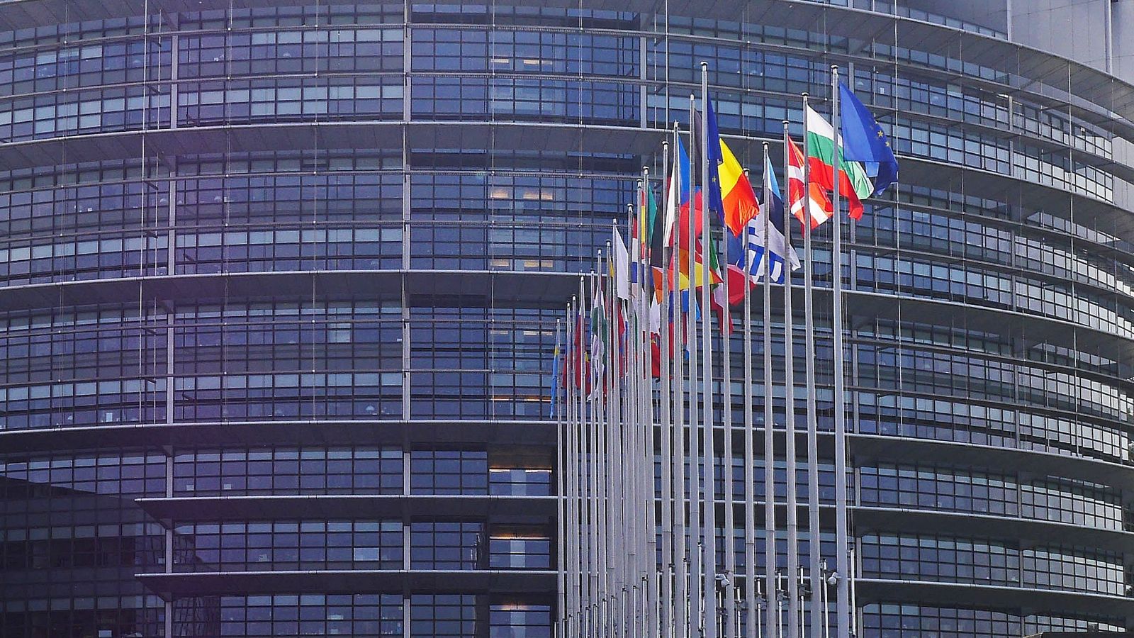 Europoseł PiS może stracić immunitet. Wniosek został skierowany do komisji