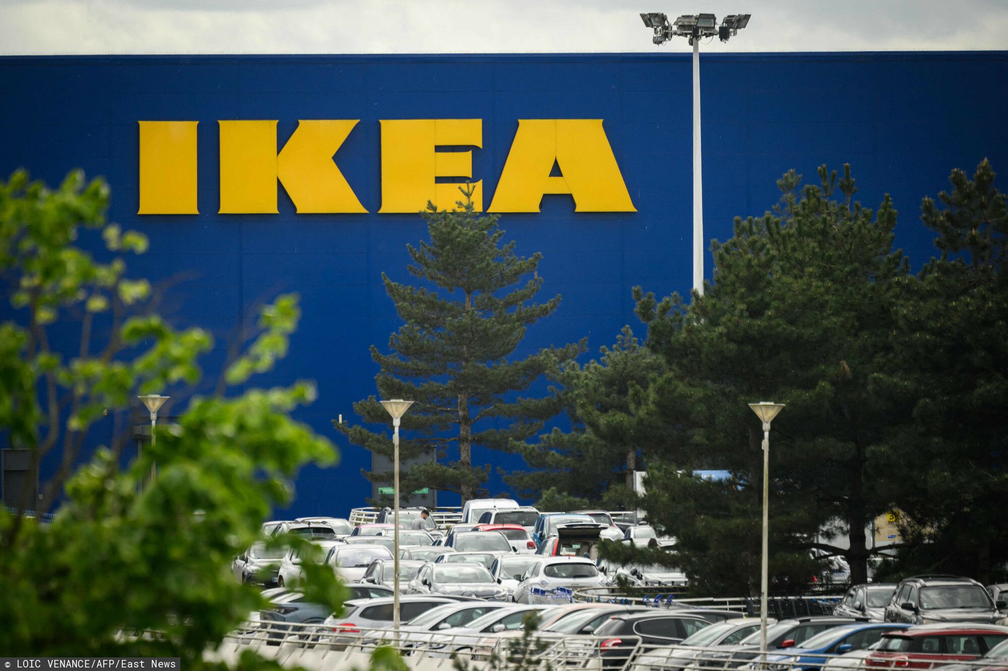 Kolejne cięcia w IKEA. 240 osób do zwolnienia w Polsce, zareagowała szwedzka centrala