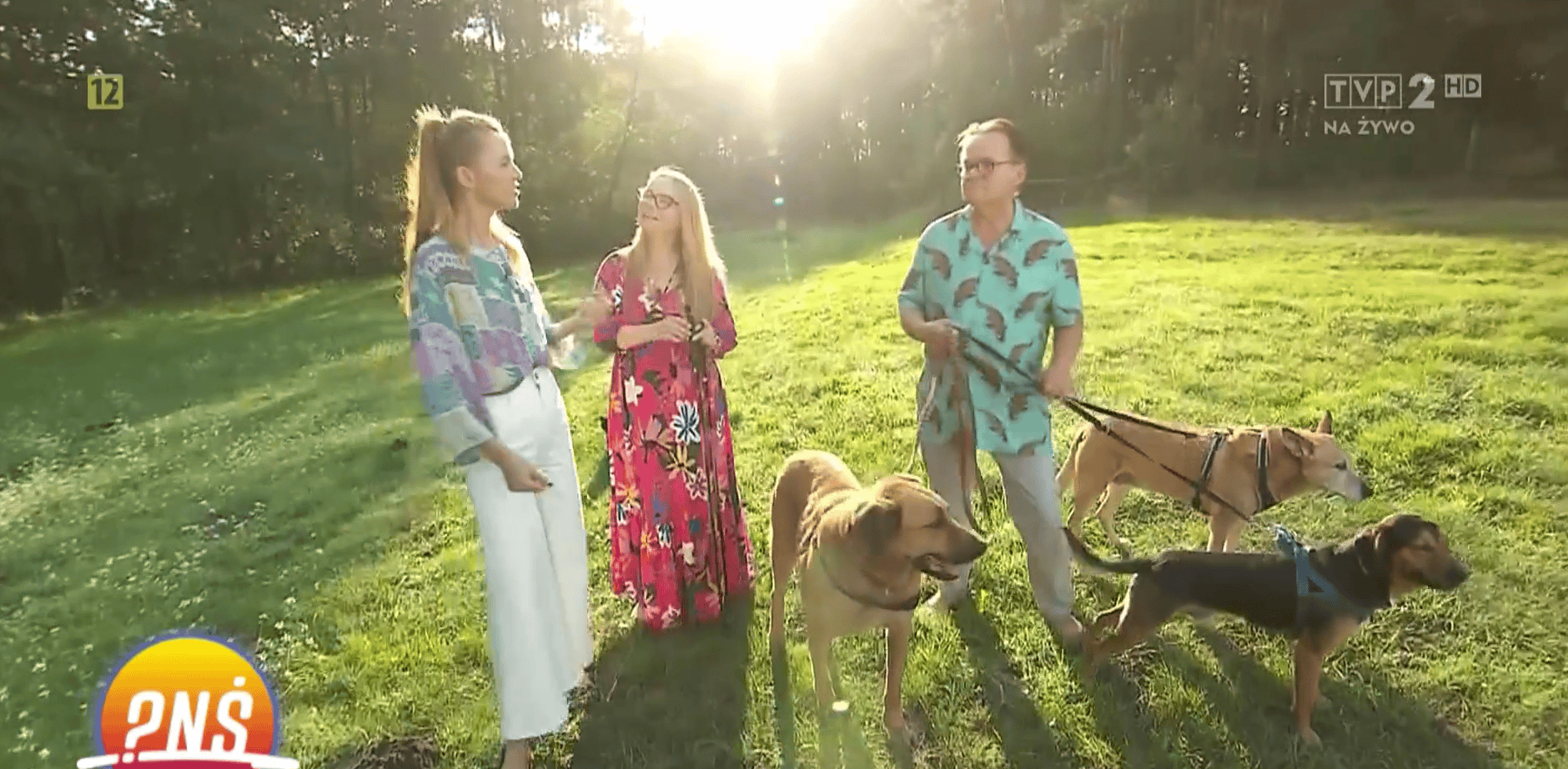 Wyszczerbione talerze, pranie na sznurku i mnóstwo zwierząt. Tak dziś żyją Ewa Kuryło i Piotr Pręgowski