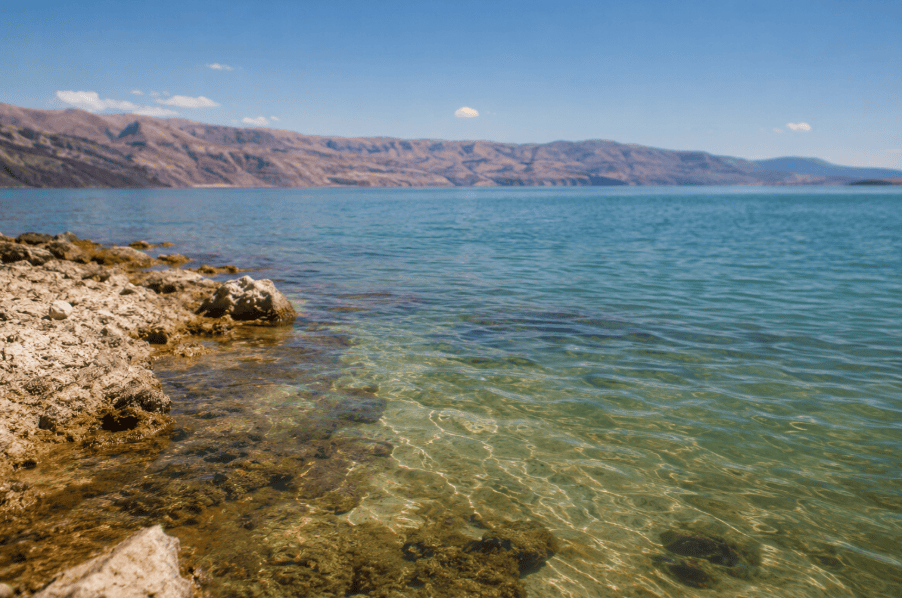 Planujesz urlop w Yellowstone? Uważaj na ten niewidzialny i śmiertelnie groźny patogen