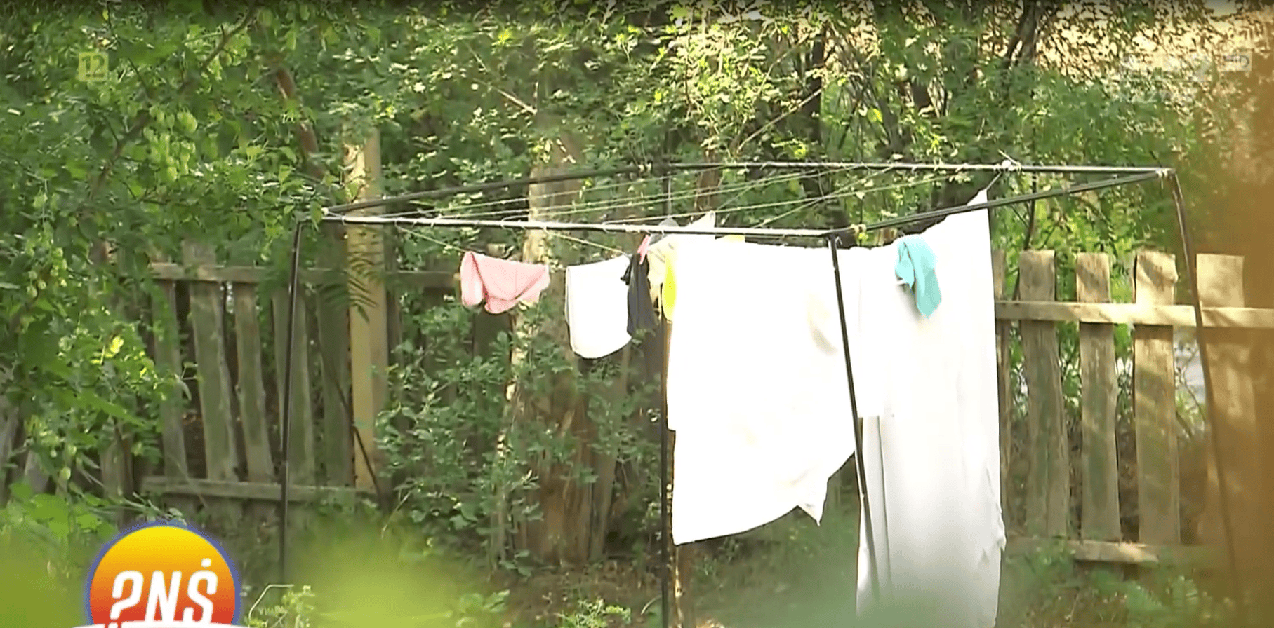 Wyszczerbione talerze, pranie na sznurku i mnóstwo zwierząt. Tak dziś żyją Ewa Kuryło i Piotr Pręgowski