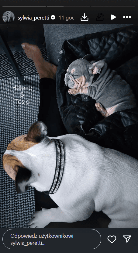 Helenka dołączyła do rodziny. Wzruszona Sylwia Peretti pokazała zdjęcia maleństwa