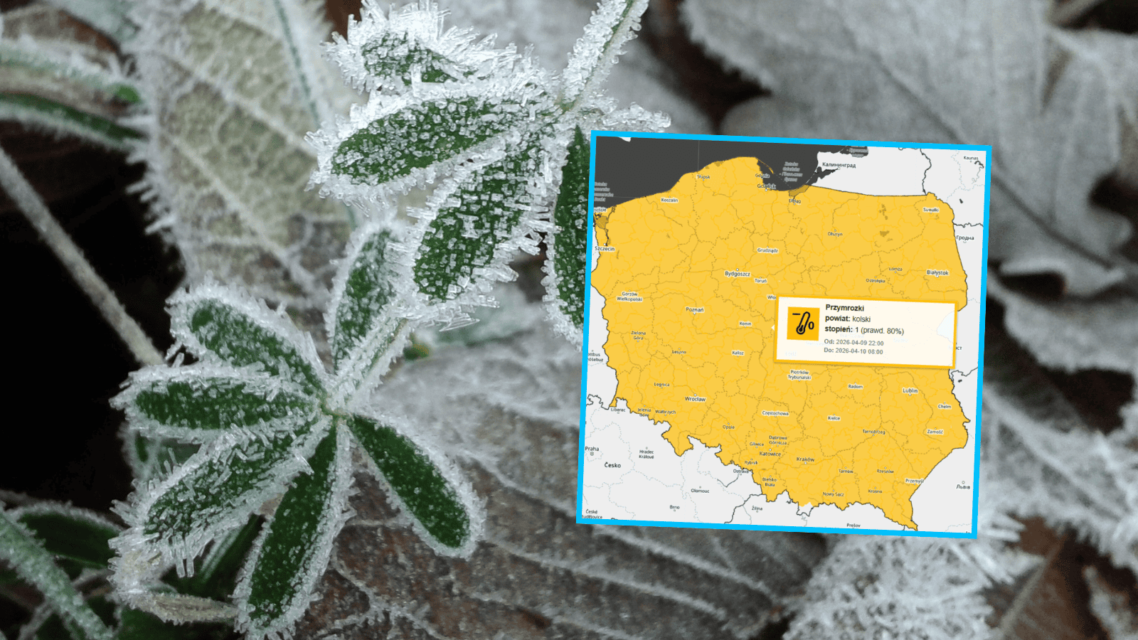 IMGW, fot. IMGW/X, Canva