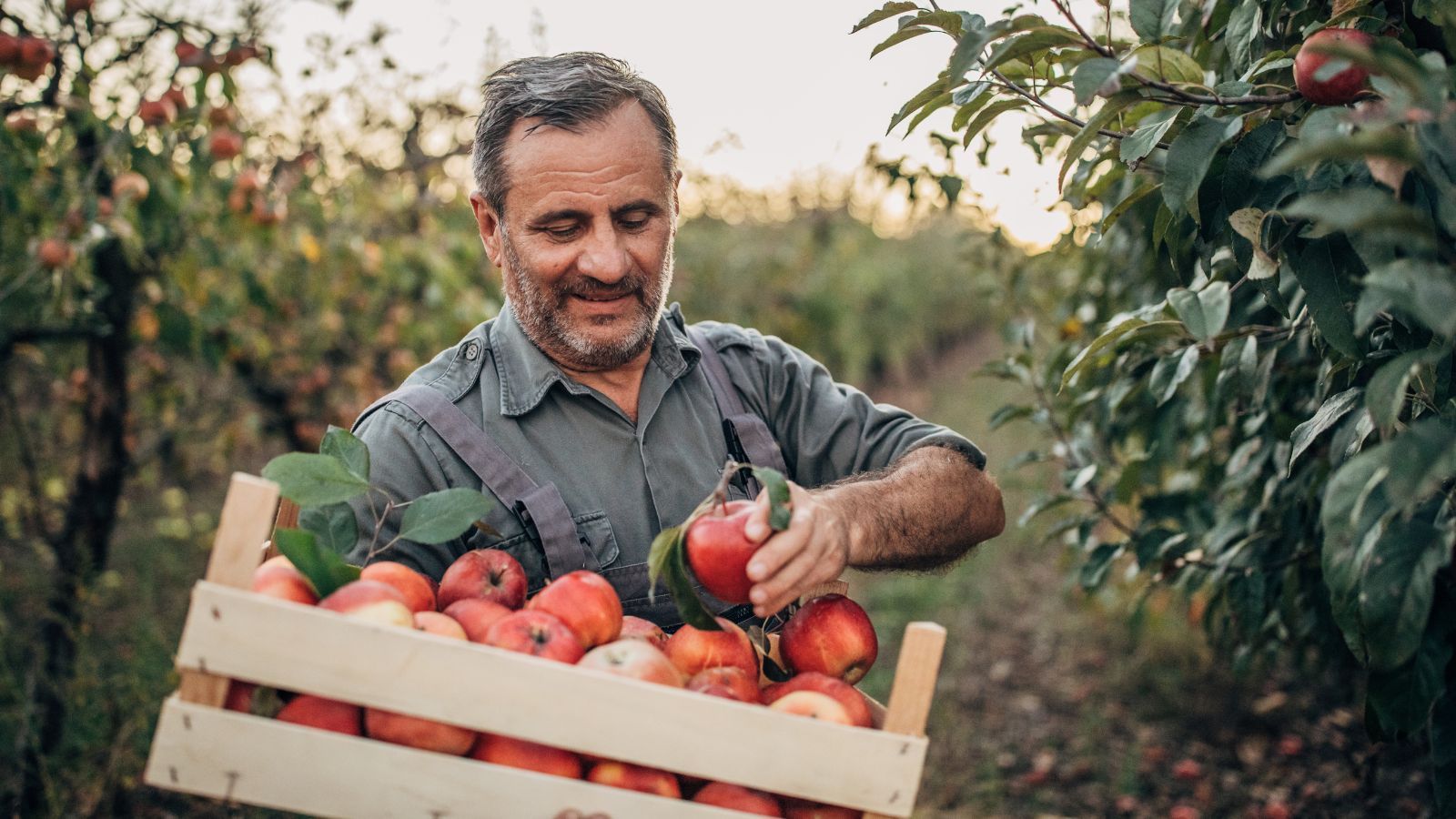 Praca wakacyjna w 2026 roku. Oferują nawet 15 tys. złotych miesięcznie, Polacy mogą się zdziwić