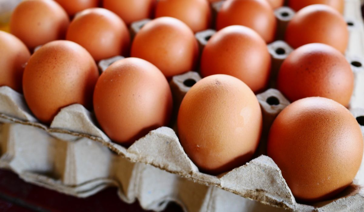 Brązowe jajka znikną ze sprzedaży? Powód zaskoczy niemal każdego