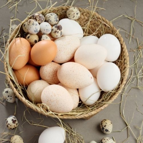  Które jajka kurze są najzdrowsze? Kupisz je w każdym sklepie