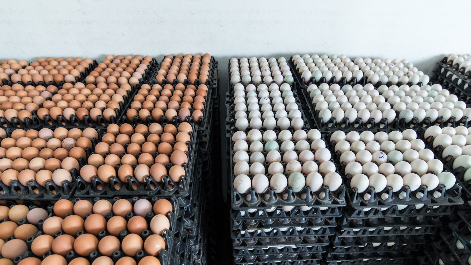 Wielka zmiana na polskich stołach. Skąd tak naprawdę biorą się teraz jaja w sklepach?