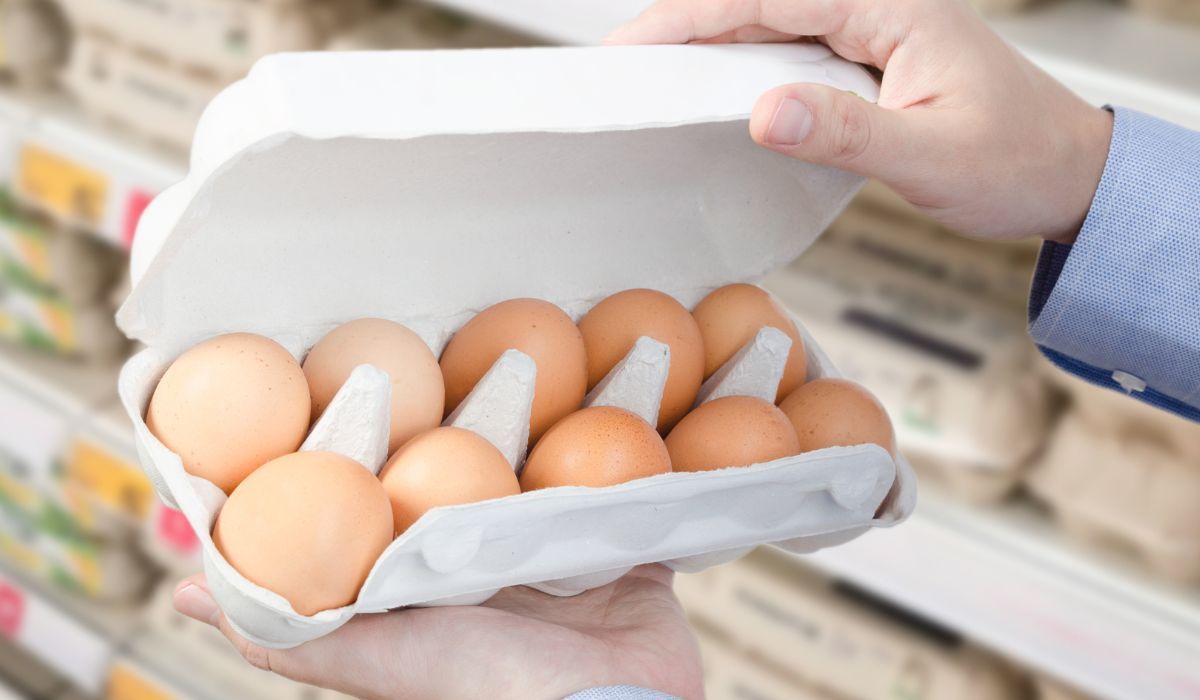 Które jajka kurze są najzdrowsze? Kupisz je w każdym sklepie