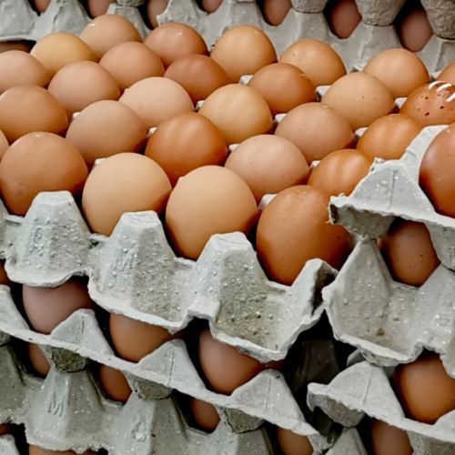 Absurdalne ceny jajek, w niektórych miastach płacą jak za złoto. Mają już dość