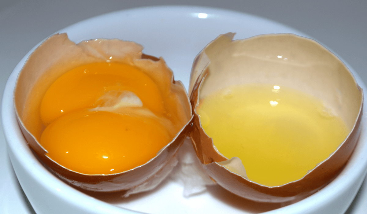 dwa żółtka w jednym jajku