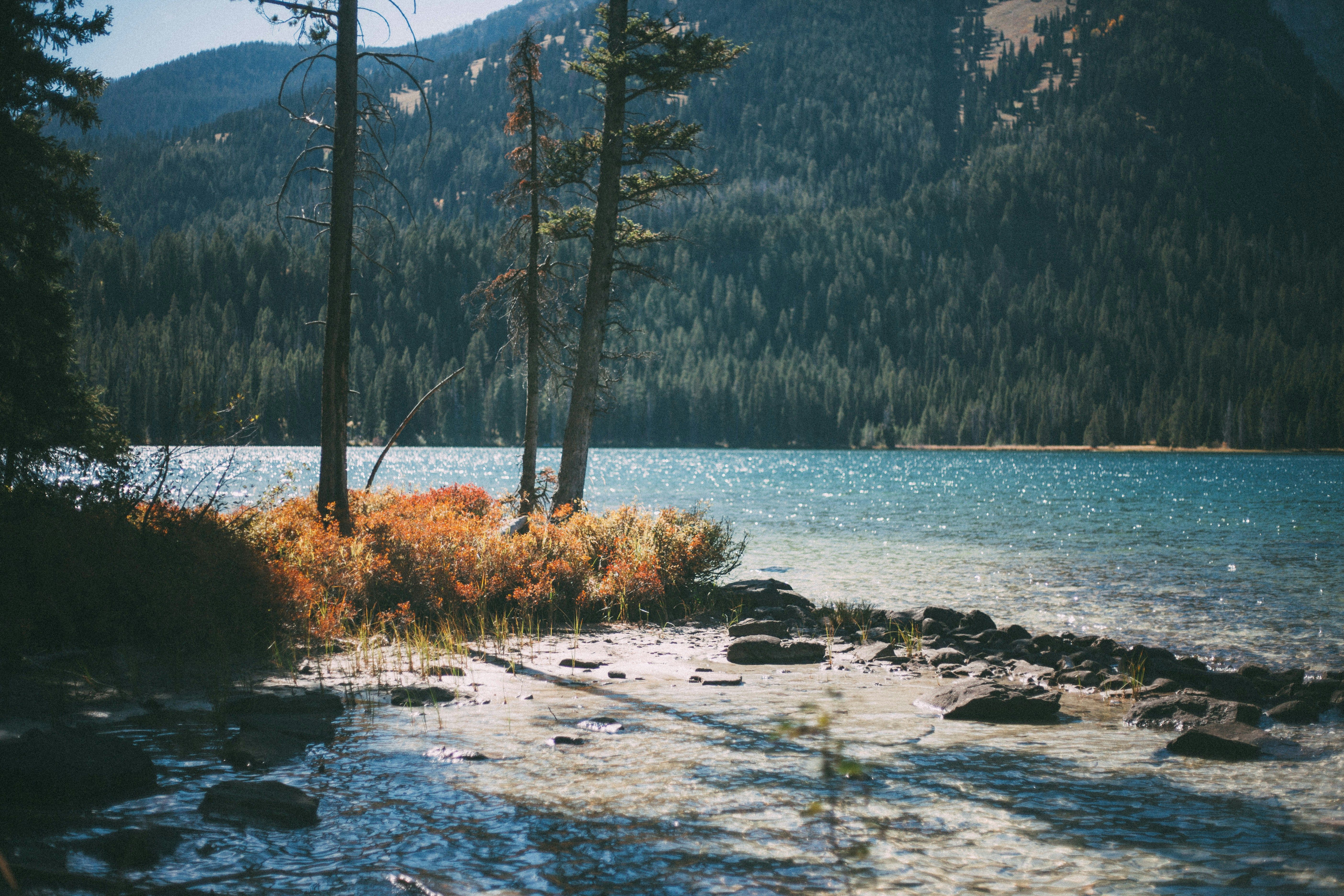 james-fitzgerald-h2Sp-CFF9Jc-unsplash.jpg