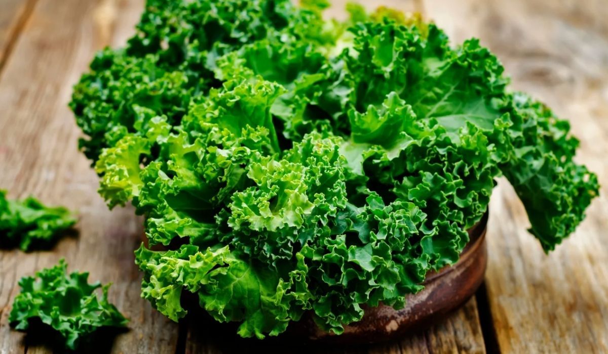 Więcej żelaza niż w mięsie, a Polacy dalej nie chcą jeść. To dietetyczny skarb