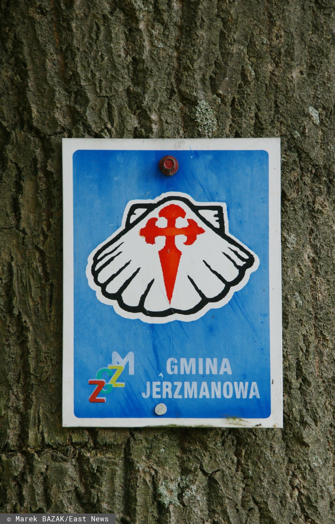 Ta wieś w Polsce to wyspa dobrobytu. Pensja 13 tys. zł miesięcznie uchodzi za przeciętną