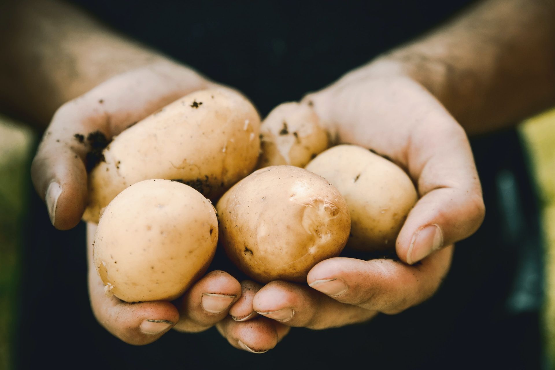ziemniaki w dłoniach