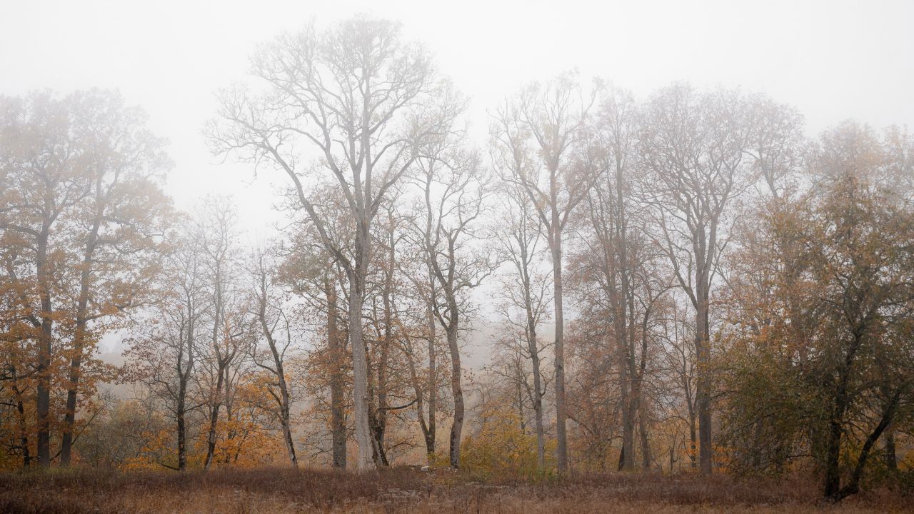 Nad Polskę nadciągają burze śnieżne. W tych regionach trzeba się przygotować