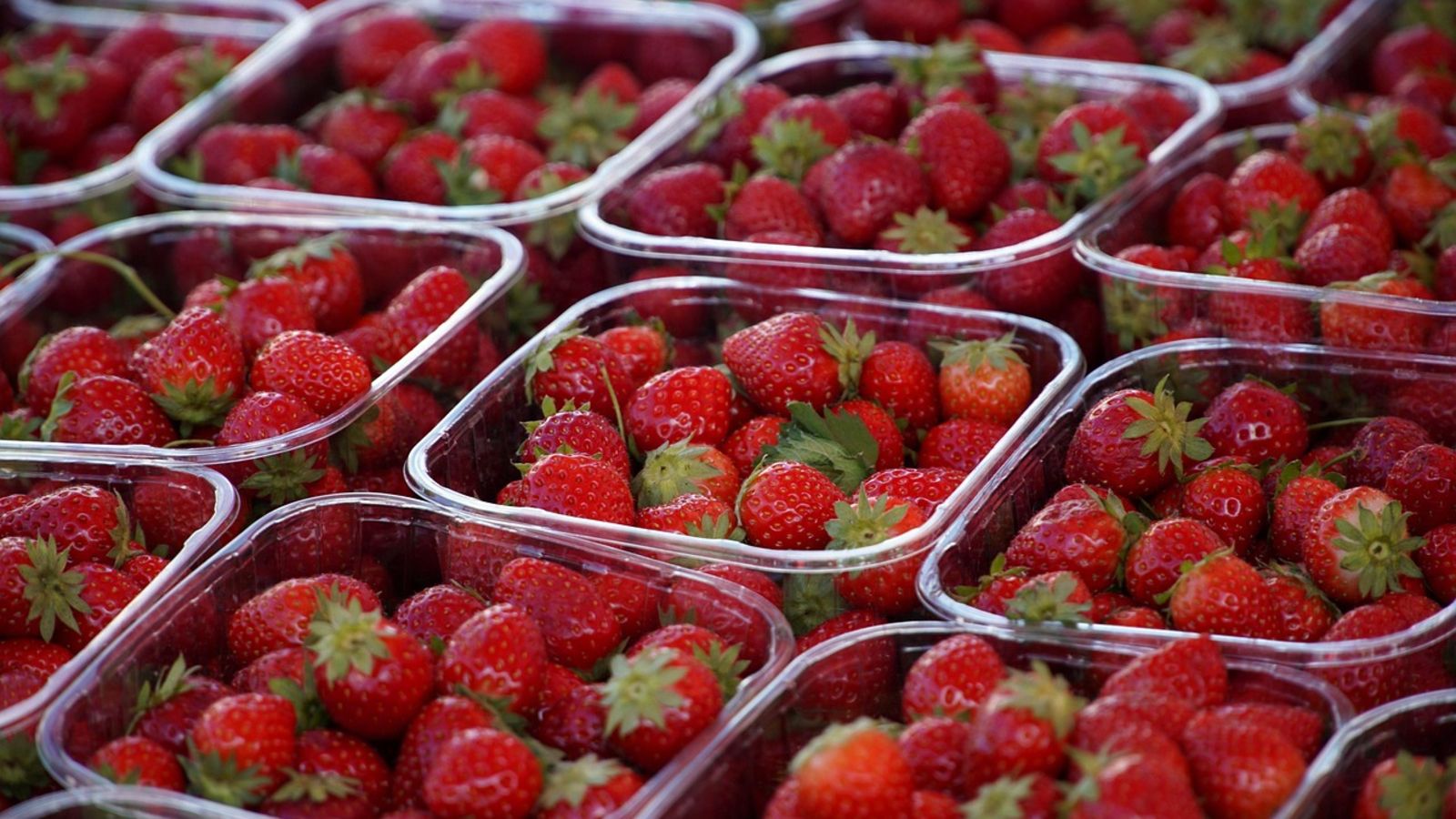 To najdroższe owoce w Polsce. Smakują wyśmienicie, ale za kilogram zapłacisz nawet 100 zł