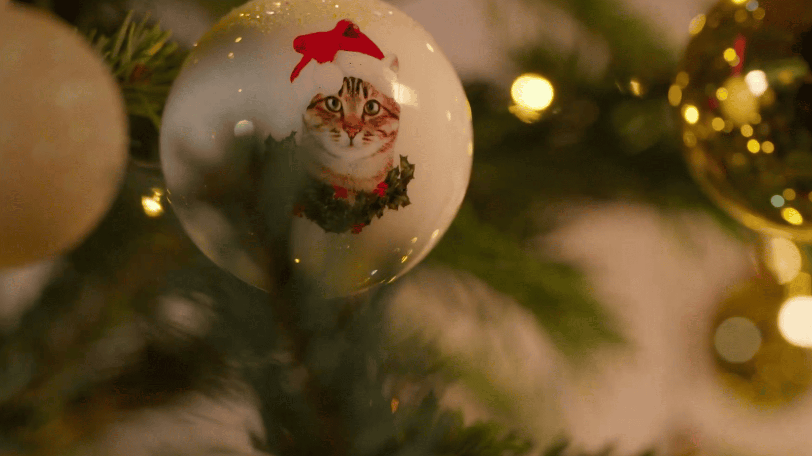 Jarosław Kaczyński złożył świąteczne życzenia. Nagranie niesie się po Polsce