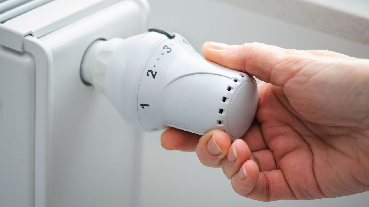 Tyle kosztuje opał w nadleśnictwach. Wiadomo, ile trzeba zapłacić za metr drewna