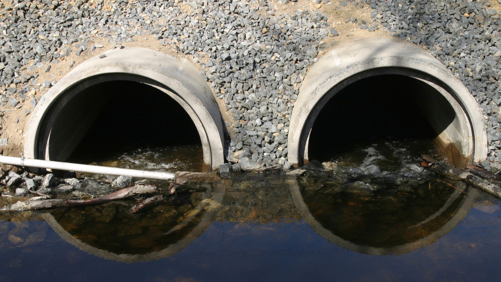 Kontrole ruszą po świętach. Sprawdzą jedną rzecz, kary sięgają 10 tys. złotych