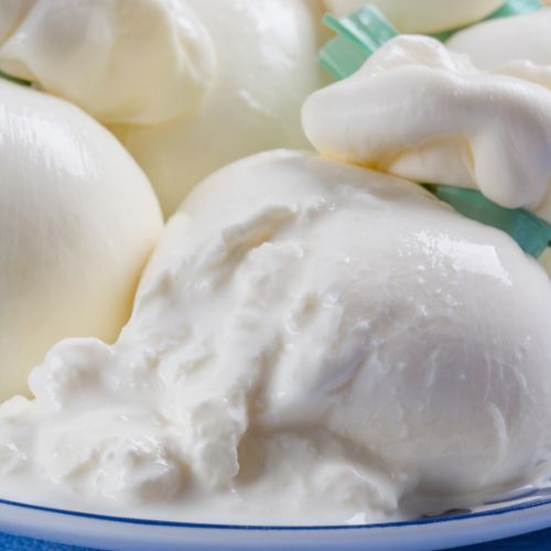 burrata