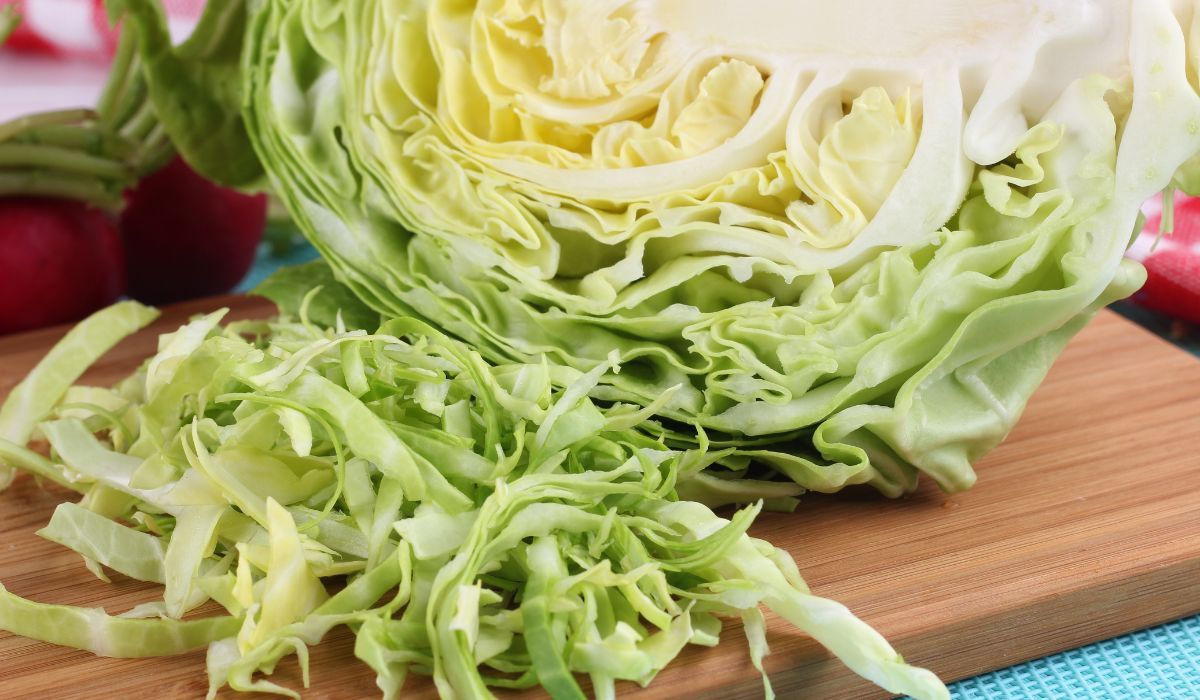 kapusta