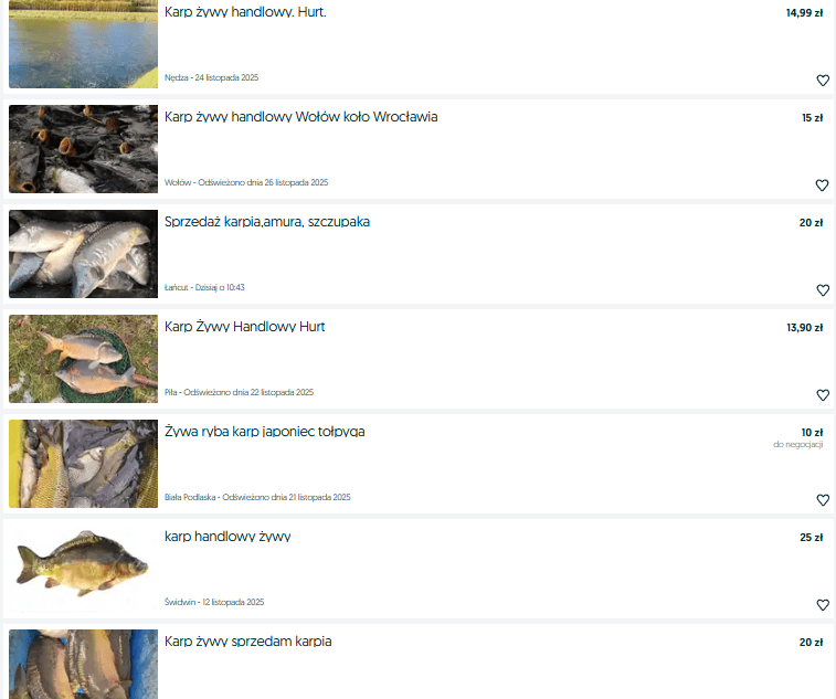 Tyle w tym roku zapłacimy za karpia na Boże Narodzenie. Hodowcy już ujawniają stawki