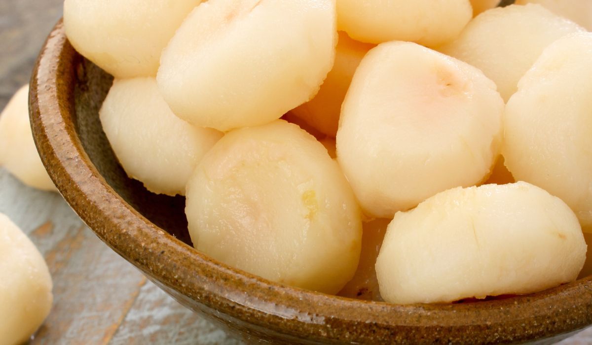 kasztany