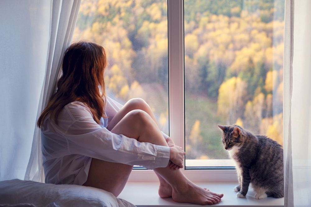 kobieta okno kot