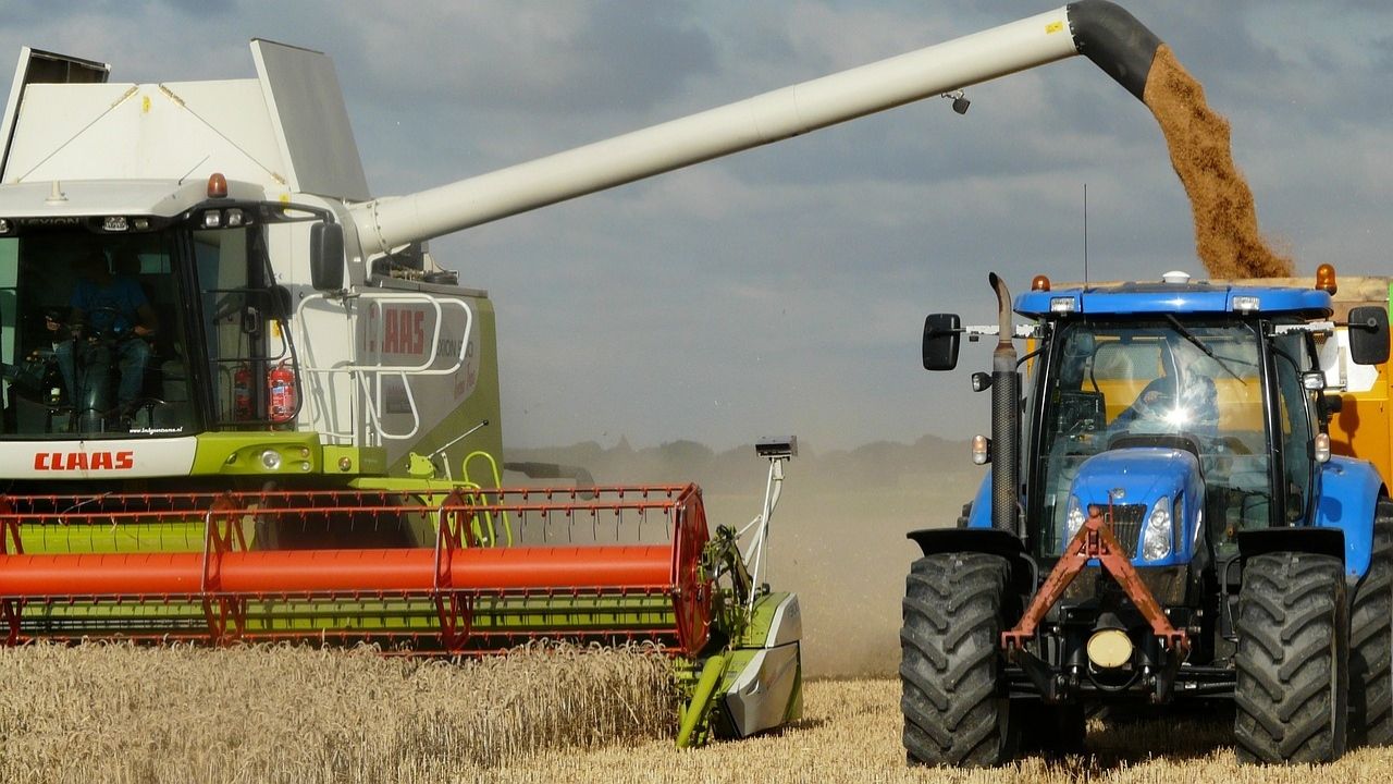 Żniwa już nie będą takie jak kiedyś. Ekspert: zmiany klimatu są nieubłagane