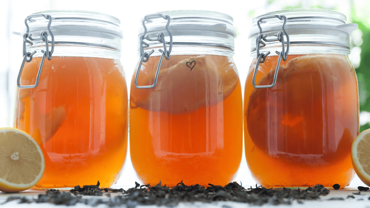 kombucha