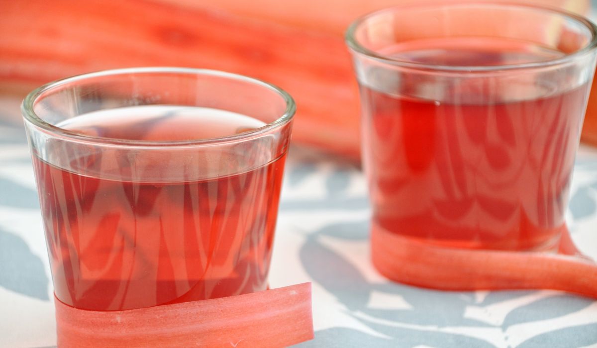 kompot z rabarbaru