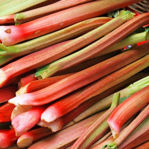 Na ten kompot czekam przez cały rok. Przepis jest banalnie prosty