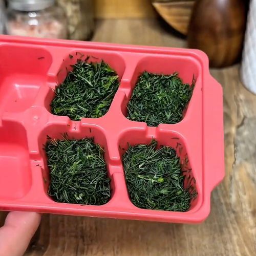 Żadne pudełko po lodach. Mam 100 razy lepszy sposób na mrożenie koperku