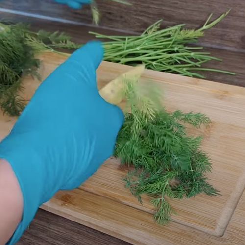 Żadne pudełko po lodach i słoik zasypany solą. Tak mrożę koperek