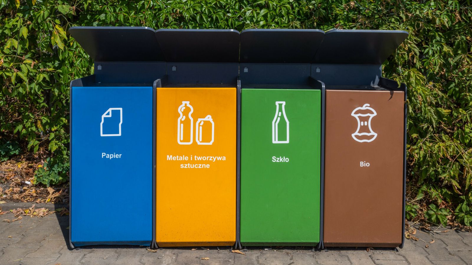 Wiemy, gdzie wyrzucać torebki po herbacie. Pomyłka może słono kosztować, Polacy nie mają pojęcia