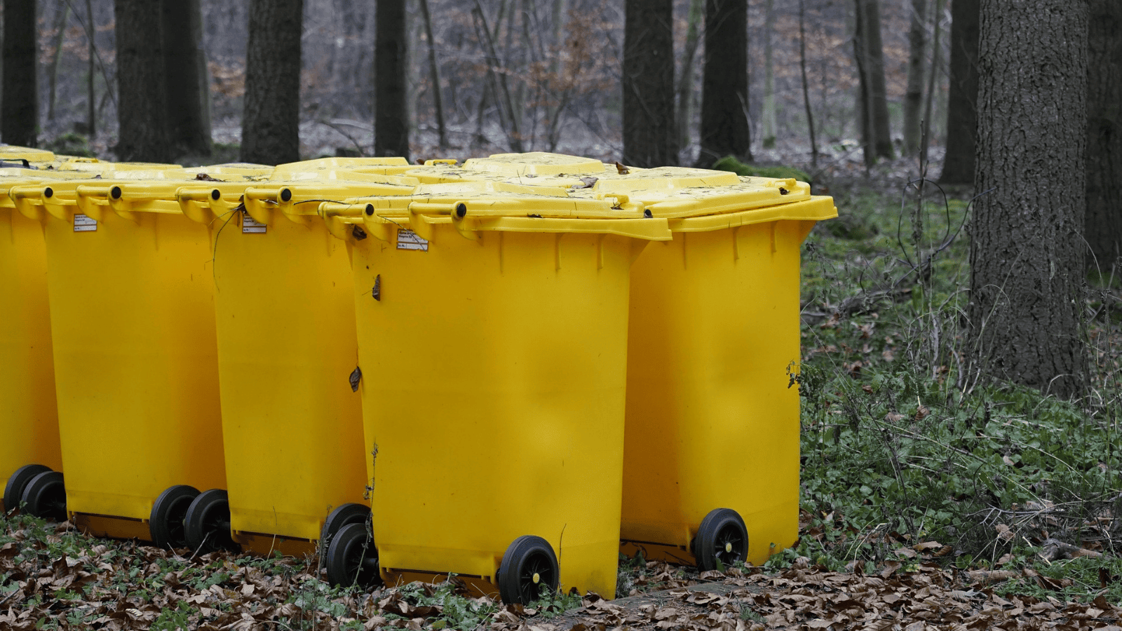 Surowe kary za błąd w segregacji tych opakowań. Polacy wciąż nie mają o tym pojęcia