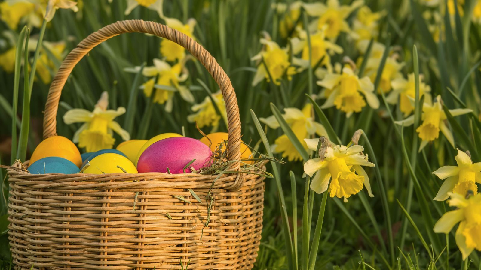 Zakupy w Niedzielę Wielkanocną. Wiadomo, które sklepy zostaną otwarte
