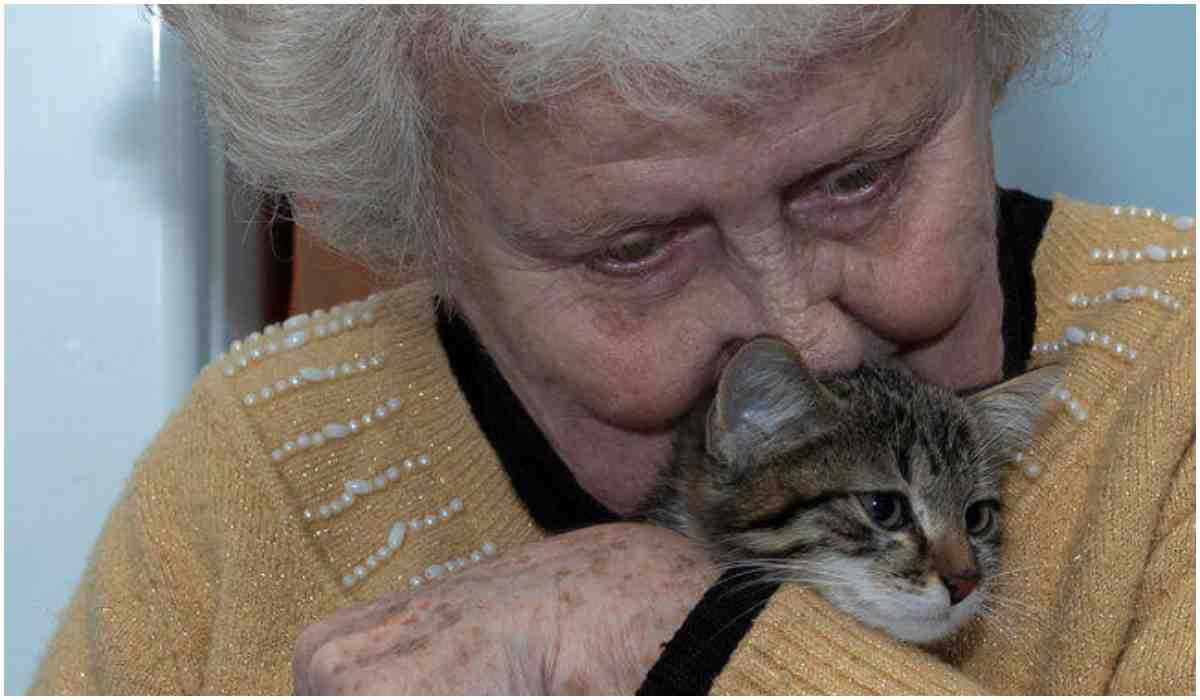Pani Józefa w swoim życiu pomogła setkom kotów. Teraz to ona potrzebuje pomocy